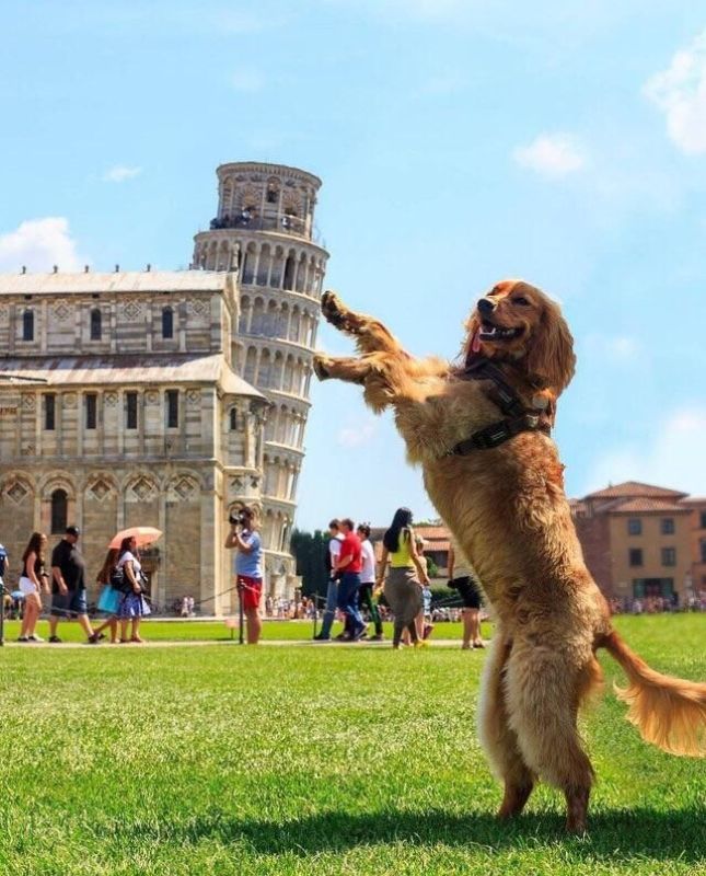 Funny San Diego Captions & Quotes